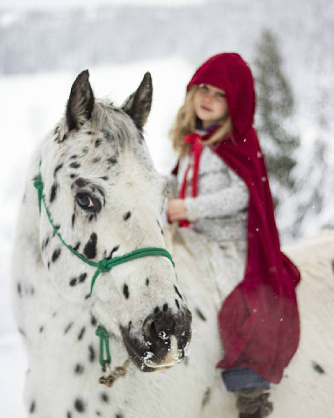 Western Pleasure Guest Ranch winter snow riding